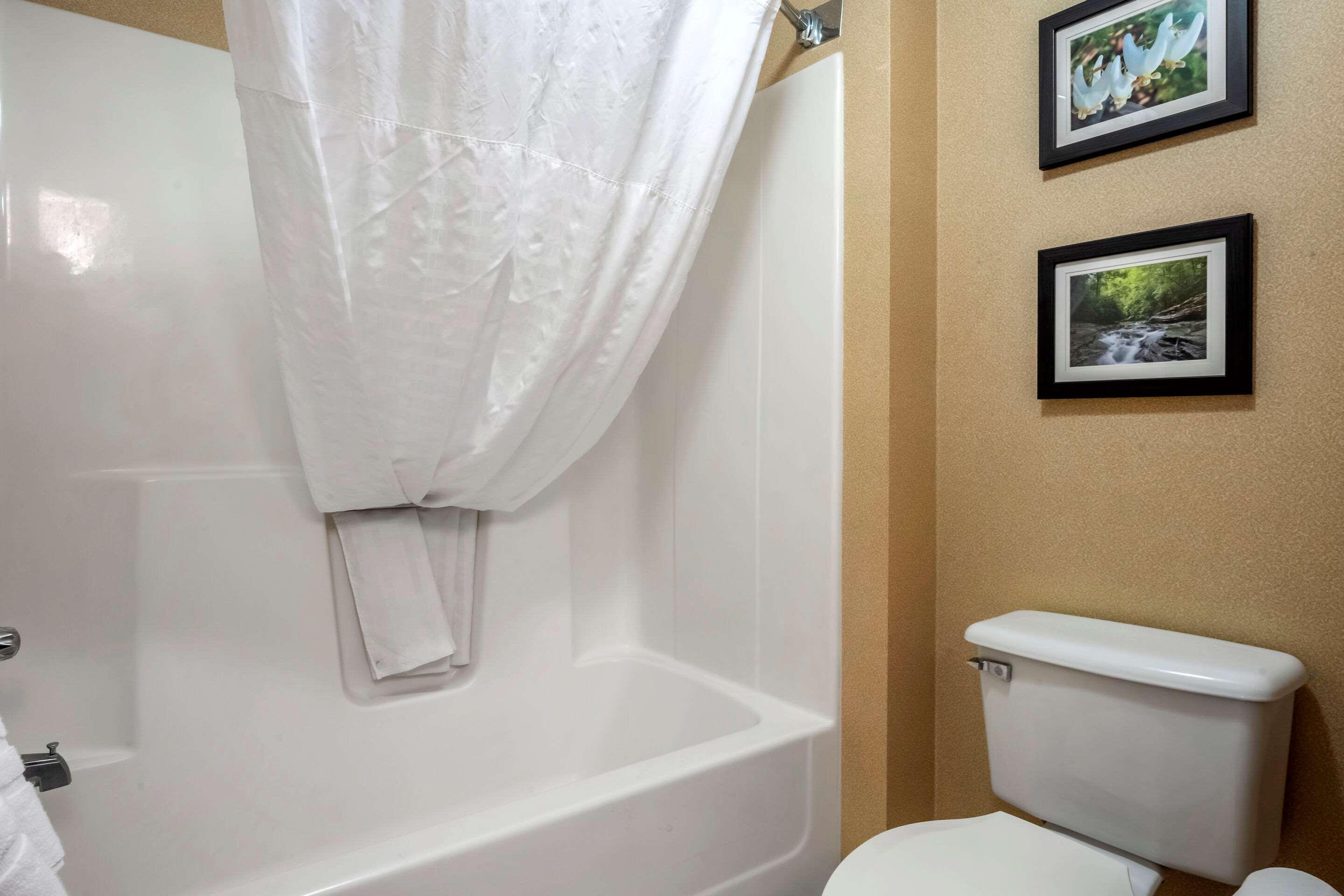Comfort Meadowlands Inn
