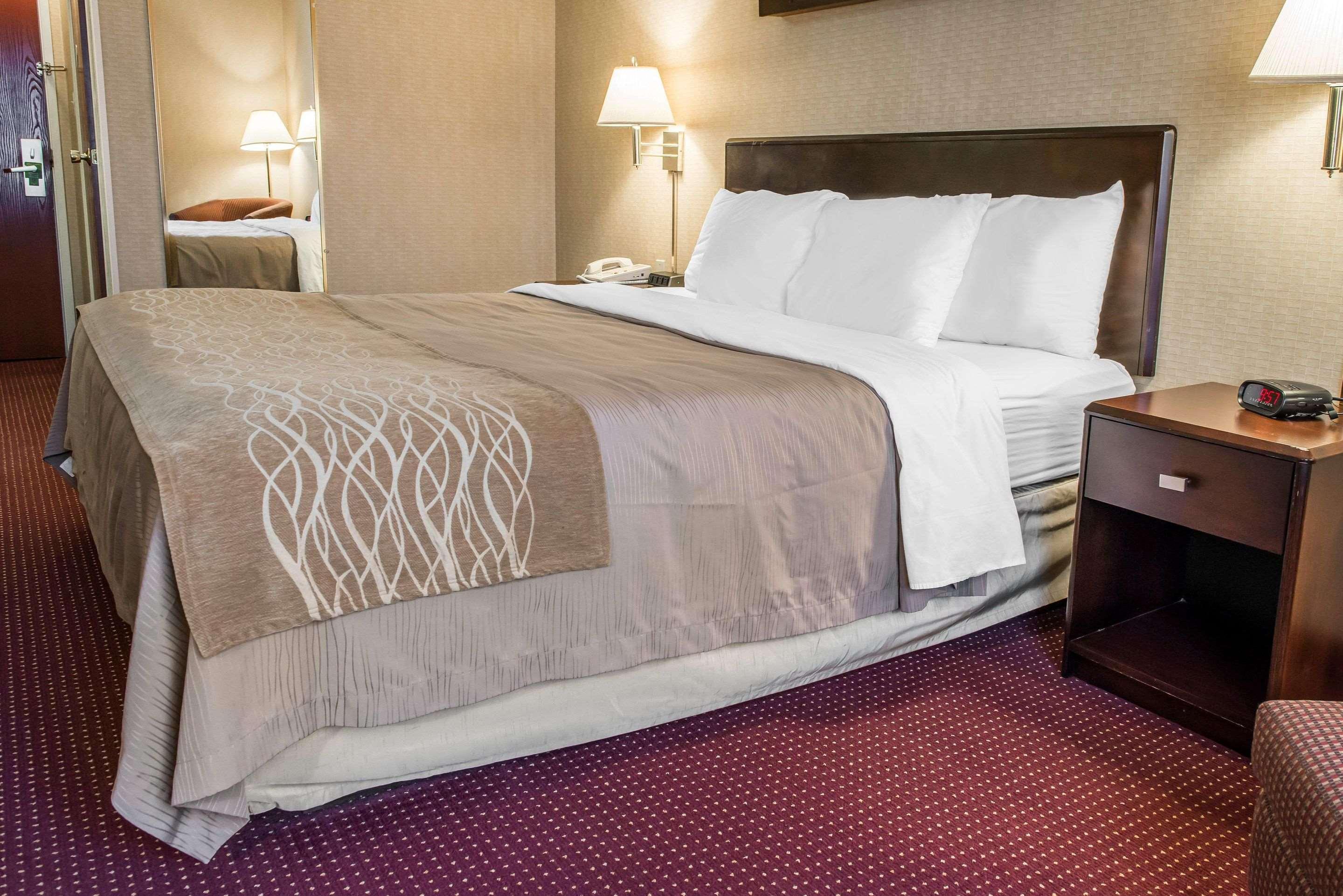 Comfort Meadowlands Washington