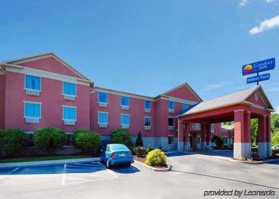 Comfort Meadowlands